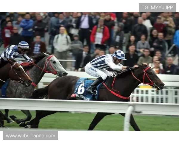 湖南伍阳英强势晋级,香港选手首轮遭遇强敌 湖南伍阳英强势晋级,香港选手首轮遭遇强敌